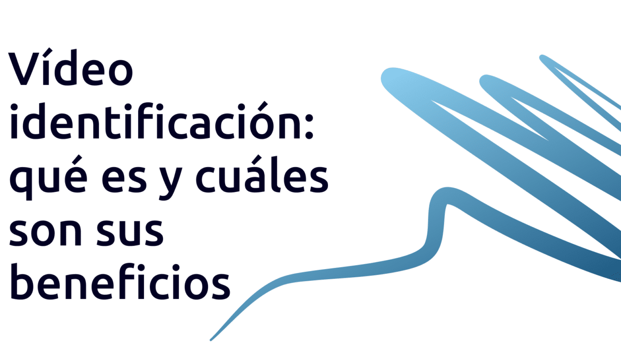 beneficios video identificación